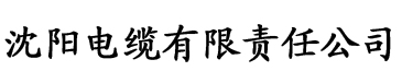 草莓视频很污很色 APP电缆厂logo